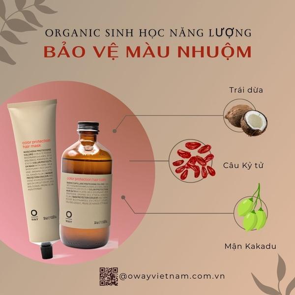 Các sản phẩm dầu gội, mặt nạ chăm sóc tóc màu nhuộm