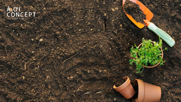 Đôi giày màu đỏ/cam tương sinh nổi bật tạo điểm nhấn may mắn cho người mệnh Thổ khi di chuyển