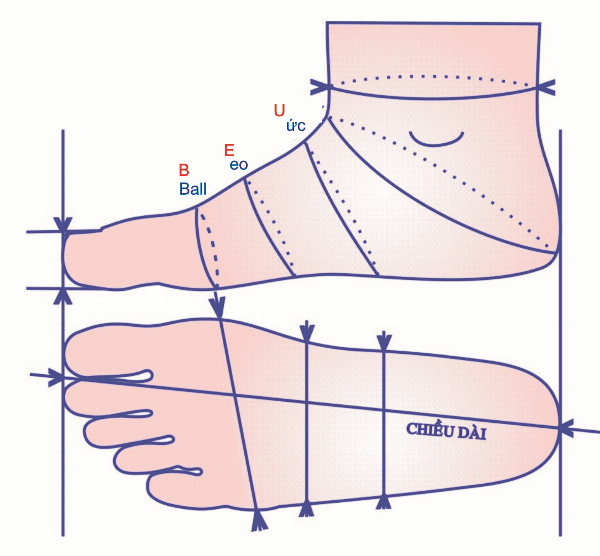 Đôi giày thể thao size 43 được đặt cạnh thước đo centimet, thể hiện sự quy đổi size 43 là bao nhiêu cm